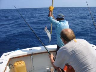 Muu kalalaji 70,00 kg